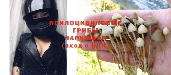 прущие крисы Алексеевка