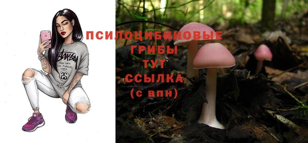 сатива Алзамай