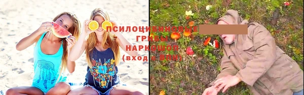прущие крисы Алексеевка