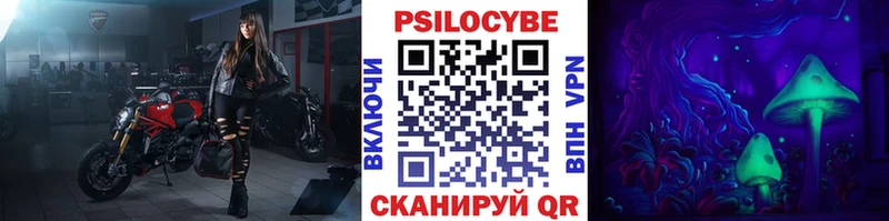 купить   Новошахтинск  Галлюциногенные грибы мицелий 